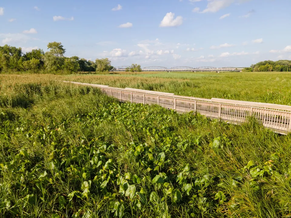 Explore the lush greenery and boardwalk of a Bloomington, MN nature trail under a bright summer sky.